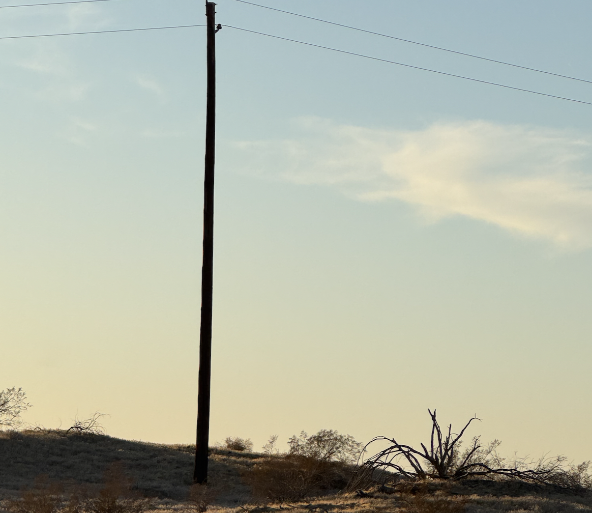 Power line on back of the 1 acre property